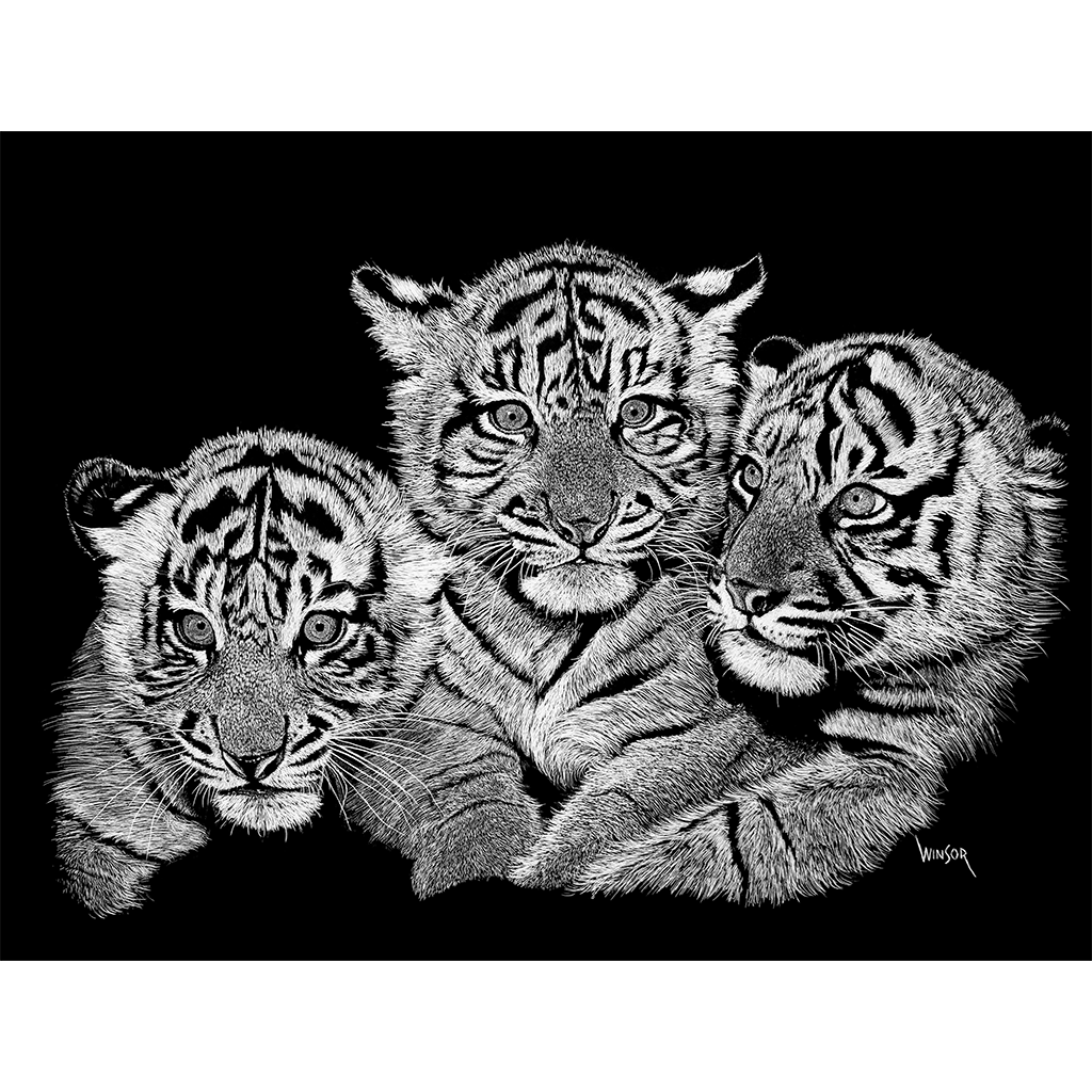 DWA-SB--1209-0096-Three-Tiger-Kittens-P1.png