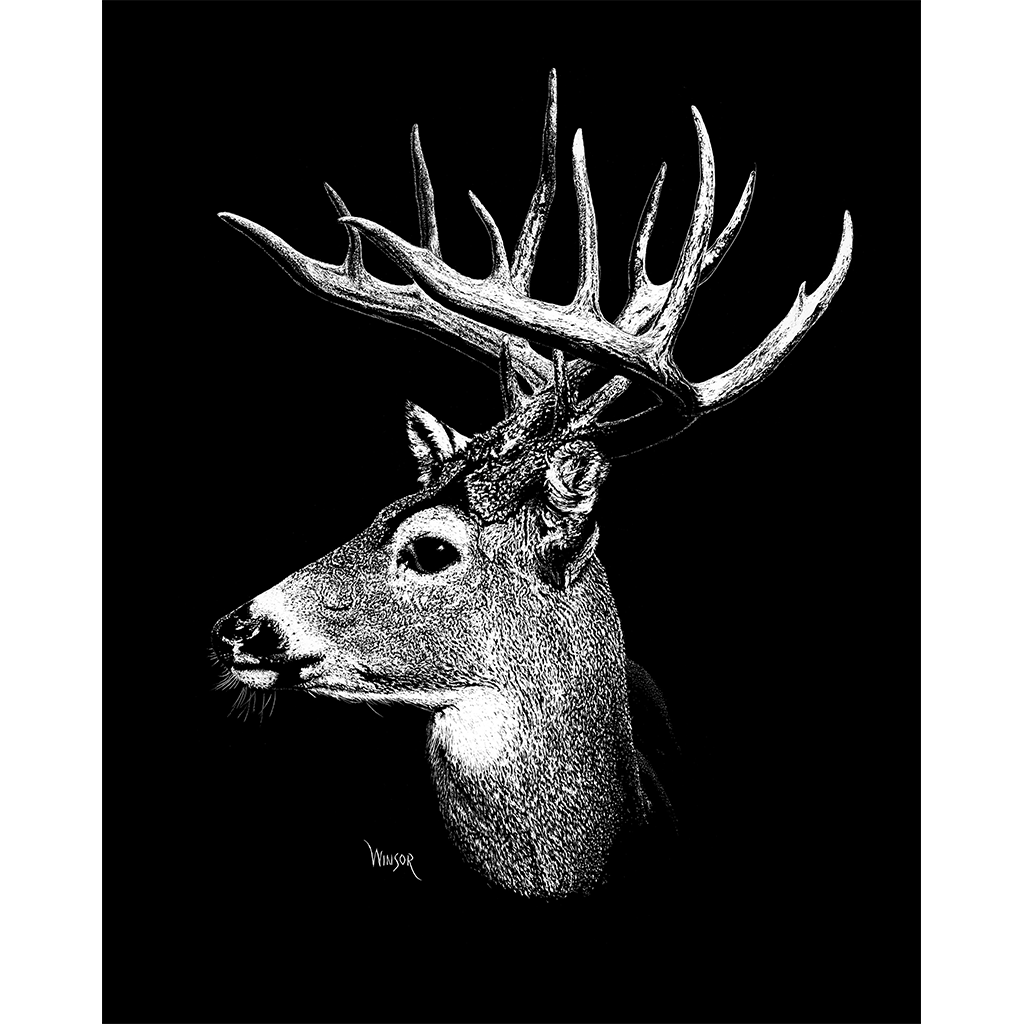 DWA-SB-0912-0089-Deer-Buck-Head-P1.png