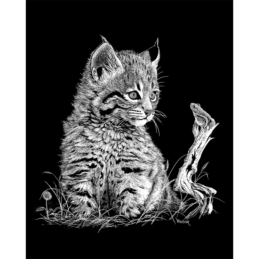 DWA-SB-0912-0094-Bobcat-Kit-and-Frog-P1.png