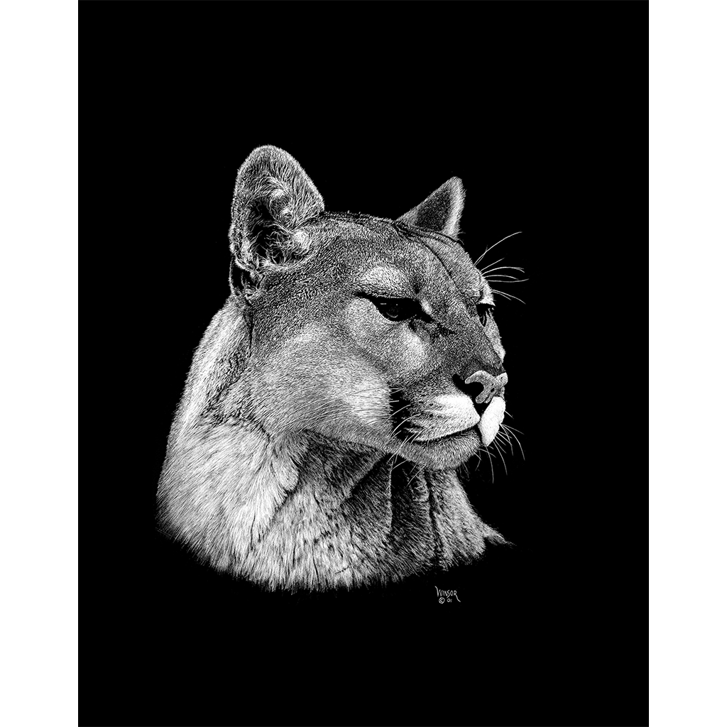 DWA-SB-1114-0024-WSU-Cougar-Head-P1.png