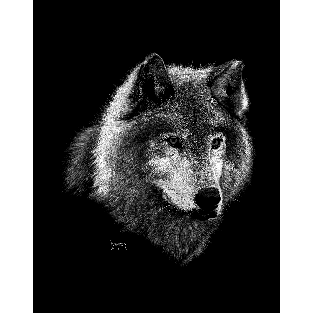 DWA-SB-1114-0076-wolf-head-P1.png