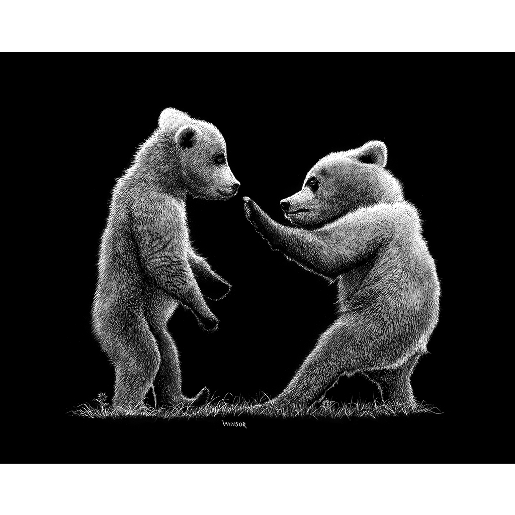 BOXING BEAR CUBS - Scratchboard Art Print