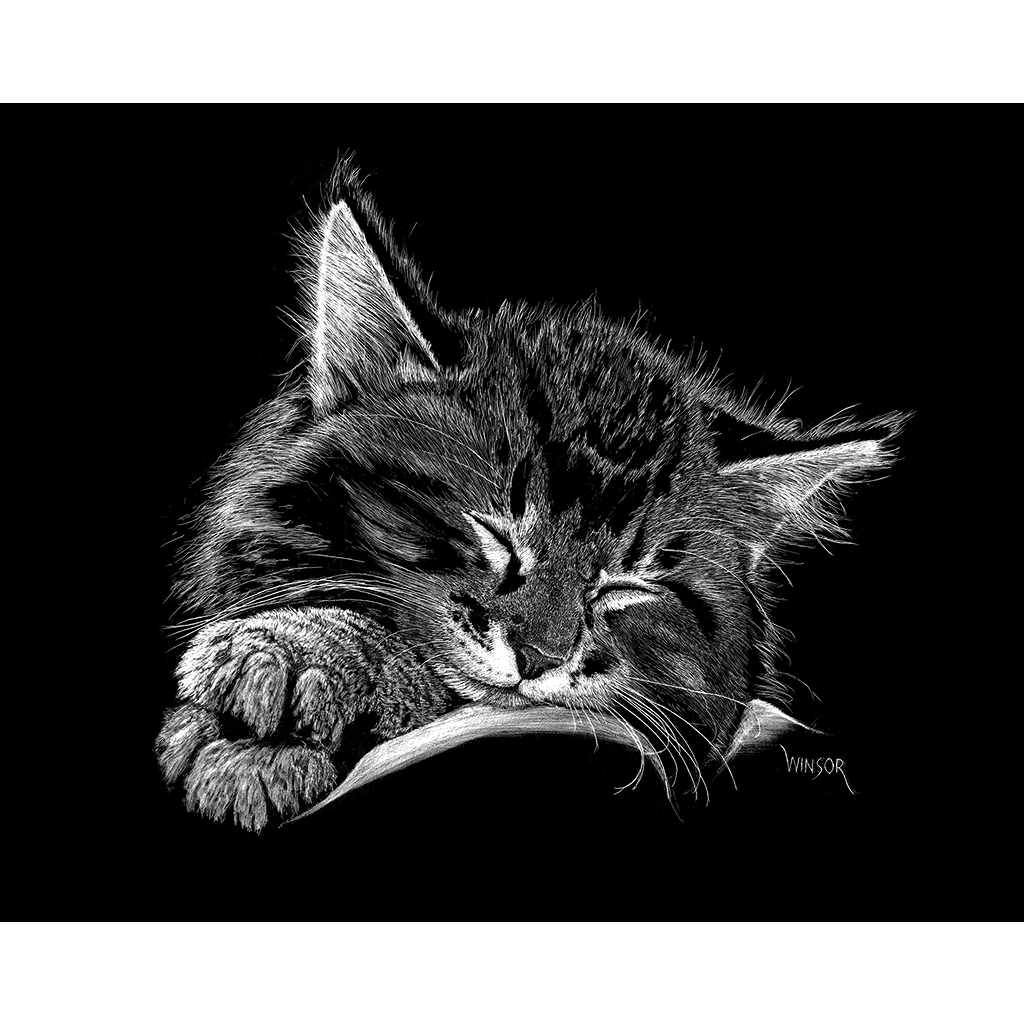 DWA-SB-1209-0157-Sleepy-Kitten-P1.png