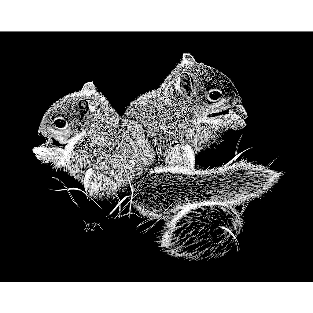 DWA-SB-1209-019-Squirel-Pair-P1.png
