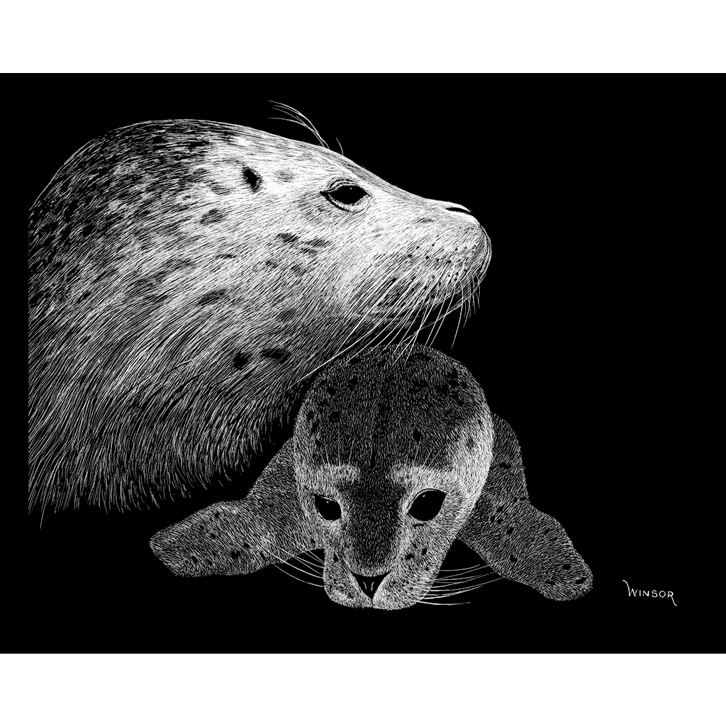 DWA-SB-1209-109-Seal-Mom-and-Pup-p1.png