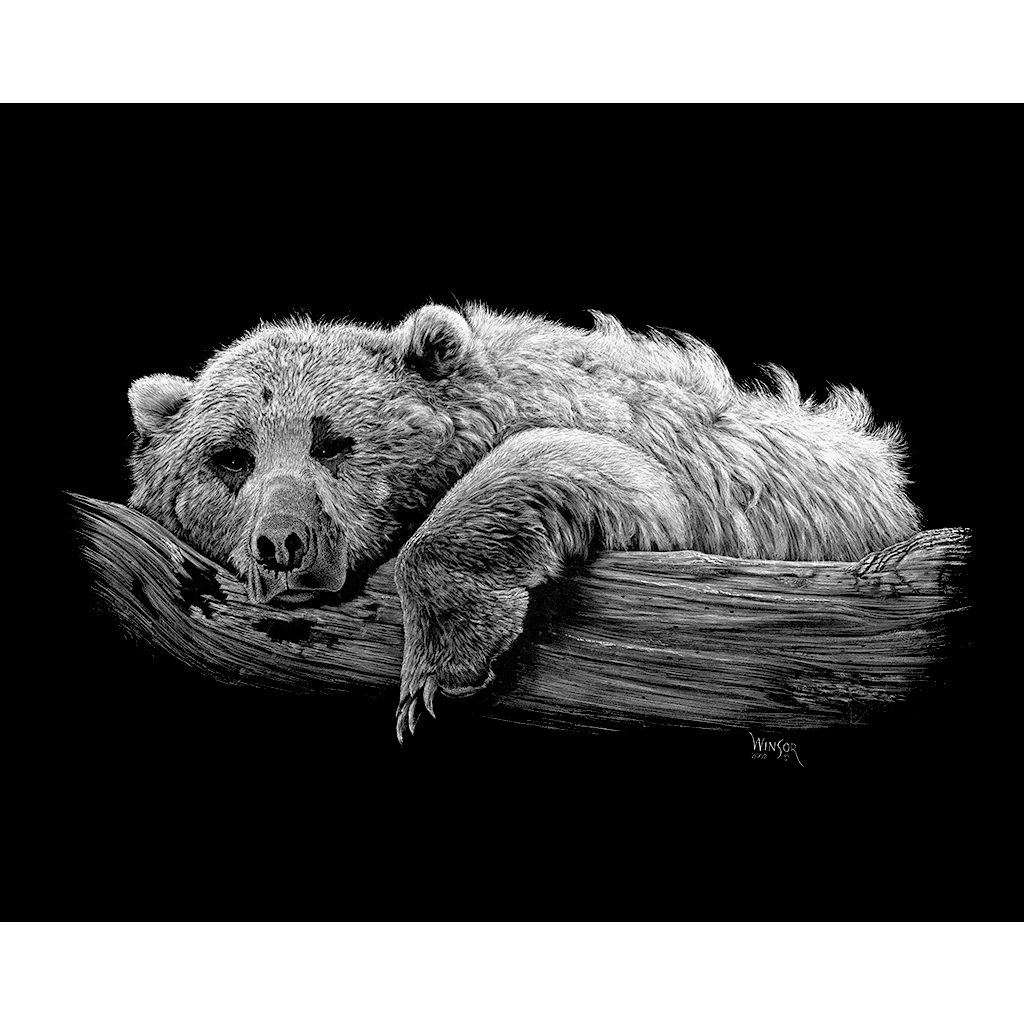 DWA-SB-1411-0018-Sleepy-Bear-centered-P1.png
