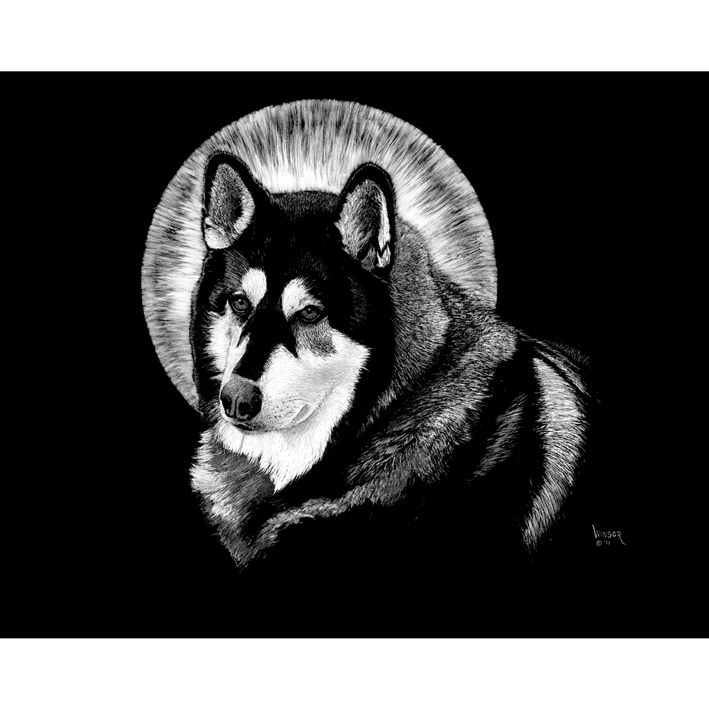 DWA-SB-1411-069-Husky-and-Moon-P1.png