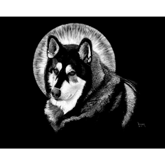 DWA-SB-1411-069-Husky-and-Moon-P1.png