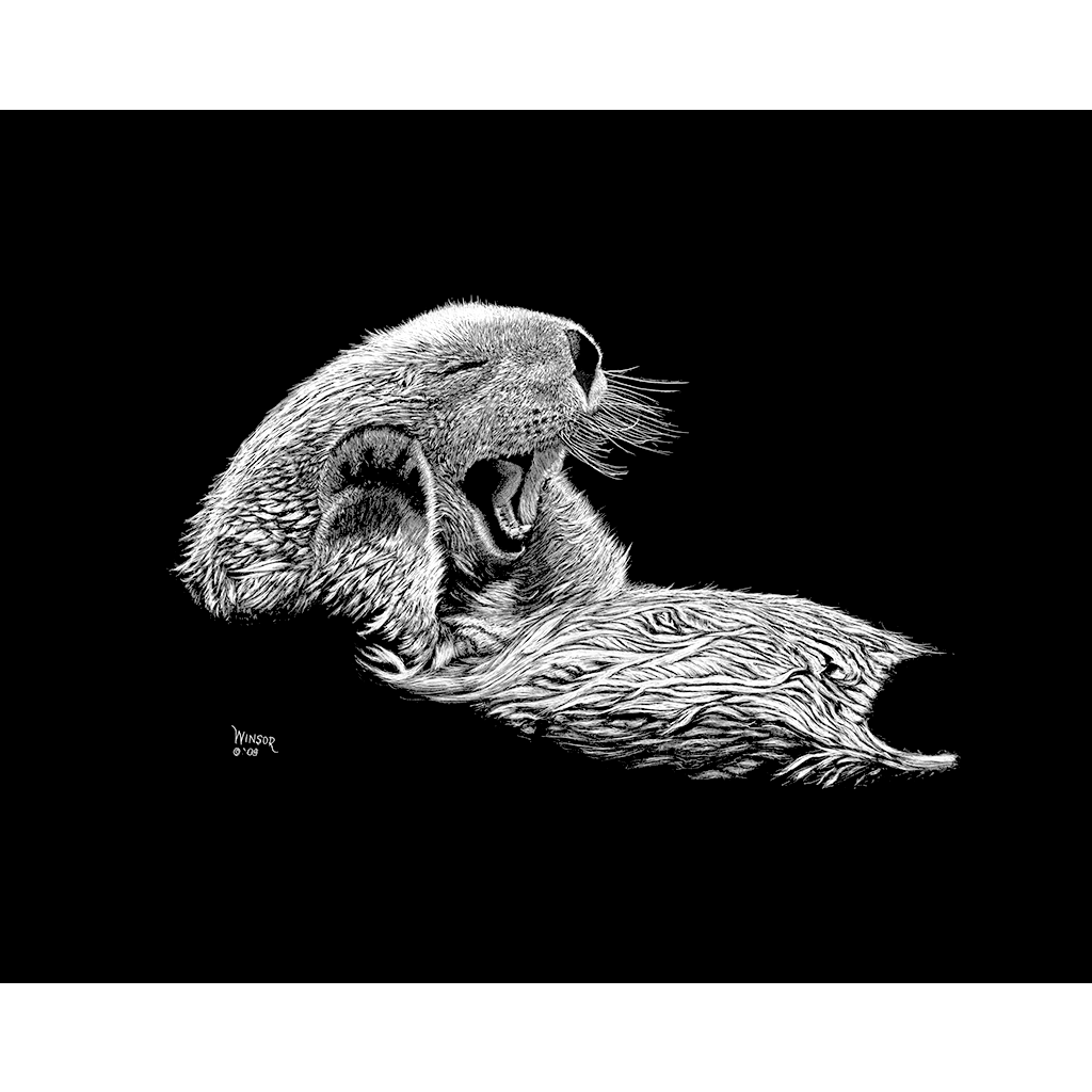 DWA-SB-1411-141-LAZY-OTTER-P1.png