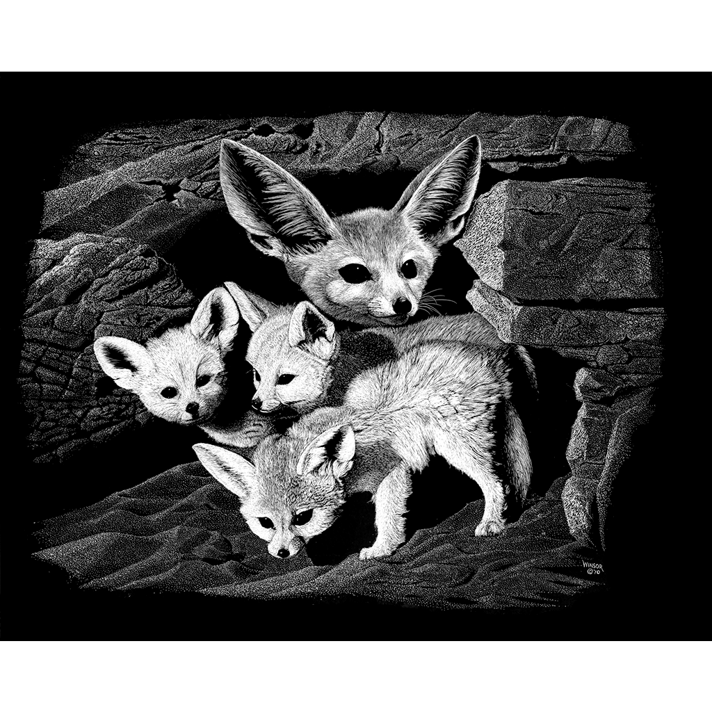 DWA-SB-1512-040-Fennec-Desert-Fox-P1.png
