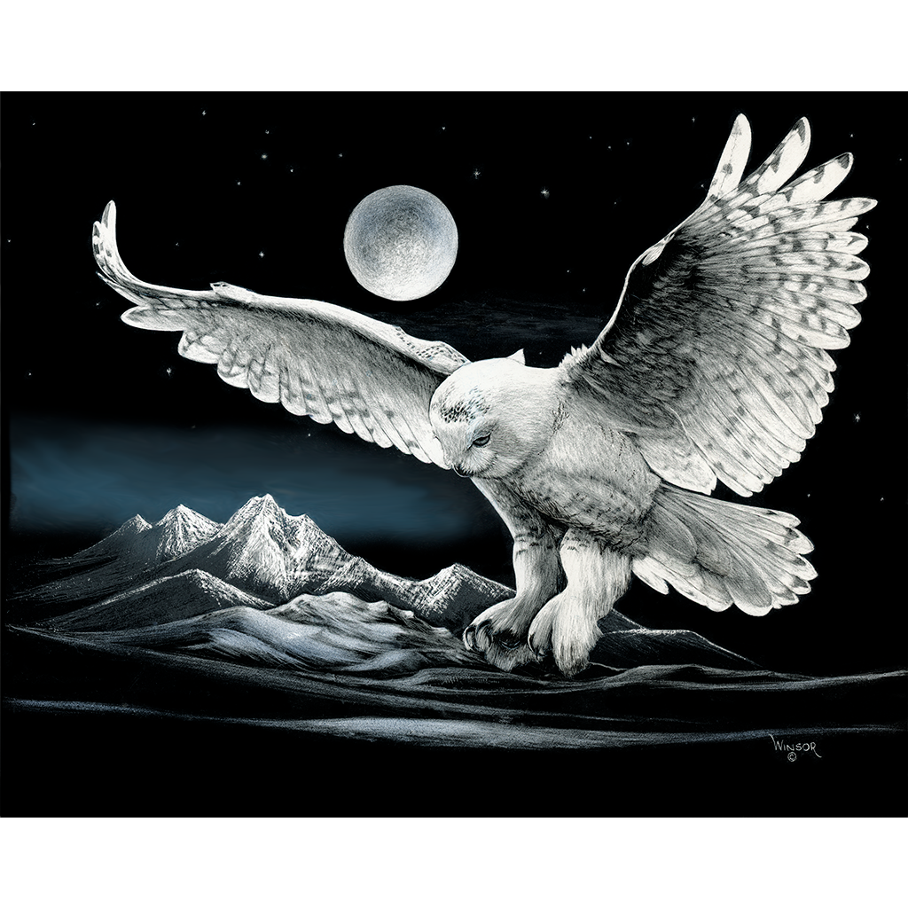 DWA-SB-COLOR-1411-112-Night-Owl-in-Flight-P1.png