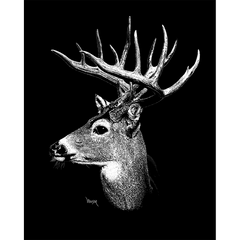 DWA-SB-0912-0089-Deer-Buck-Head-P1.png