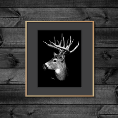 DWA-SB-0912-0089-Deer-Buck-Head-P2.png