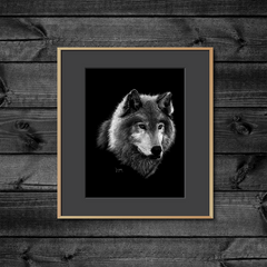 DWA-SB-1114-0076-wolf-head-P2.png