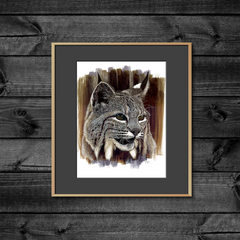 DWA-SB-1114-021-Bobcat-Head-Color-P2.png