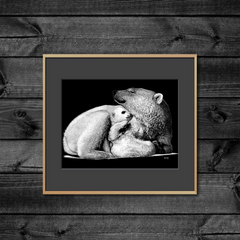 DWA-SB-1495-0162-2003-Polar-Bear-and-Cub-P2.png