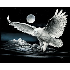DWA-SB-COLOR-1411-112-Night-Owl-in-Flight-P1.png