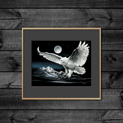 DWA-SB-COLOR-1411-112-Night-Owl-in-Flight-P2.png