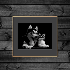 DWA-SCR-1210-0036-Malamute-and-Pup-P2.png